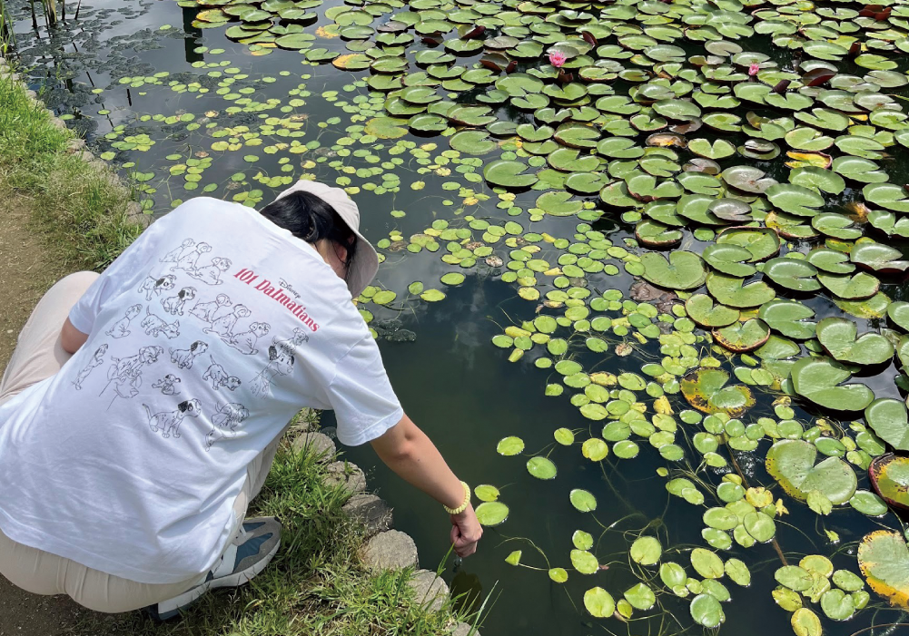 健康長寿研究拠点 都市における夏期の微気候と生態系サービス調査02