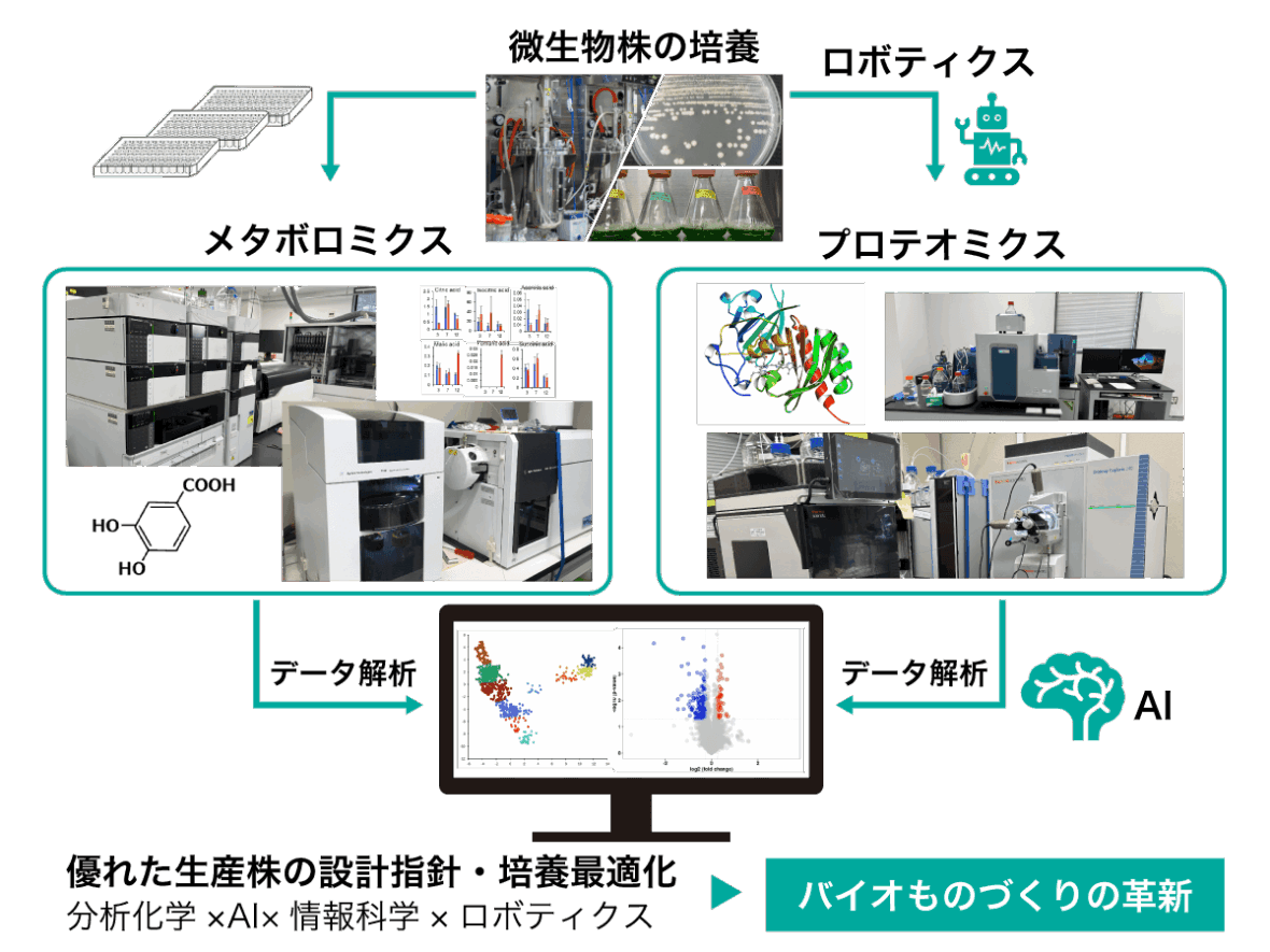 先端分析評価・プロセスチーム