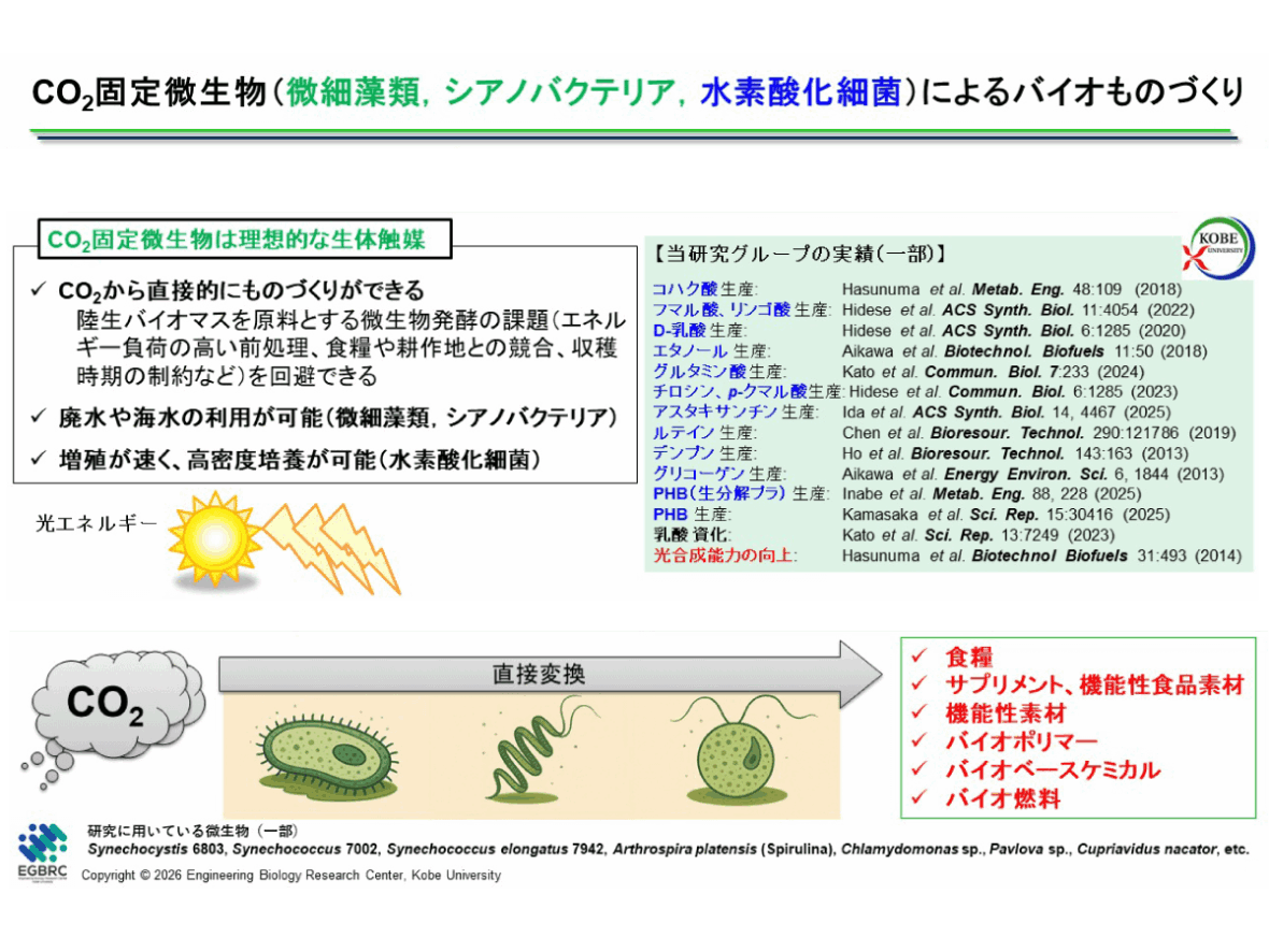 カーボンニュートラル