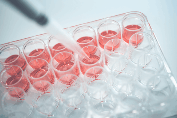 次世代バイオメディカル