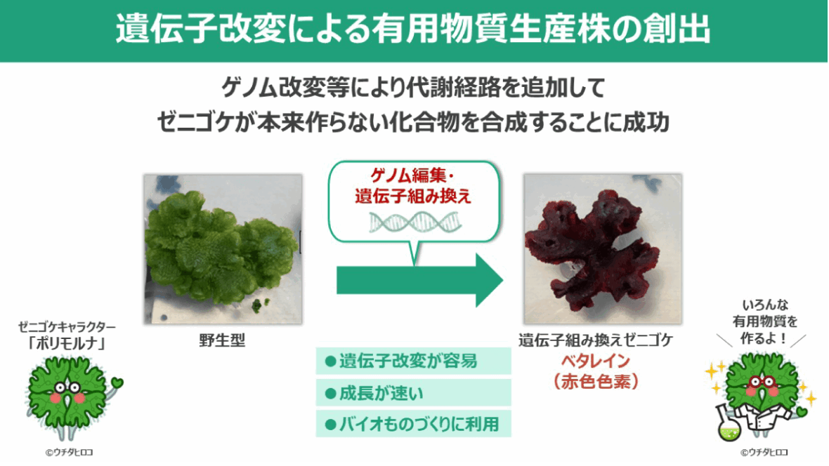 次世代フードテック