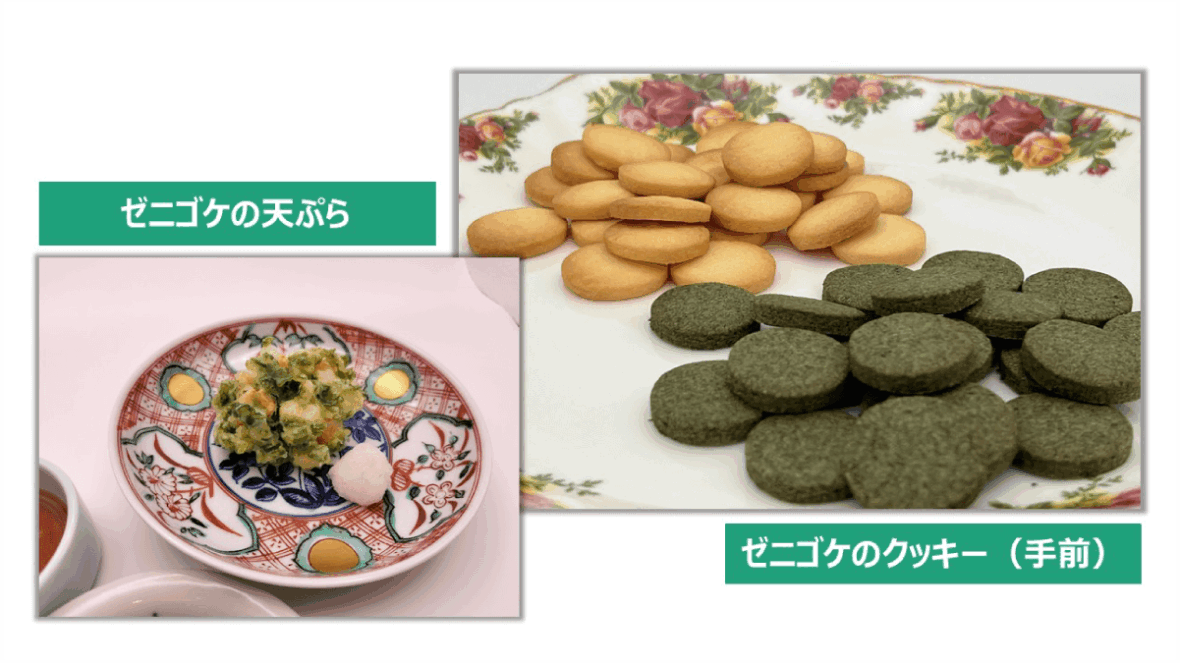 次世代フードテック